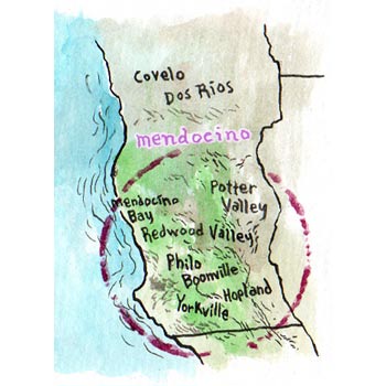 Coro Mendocino wines – Macro Terroir